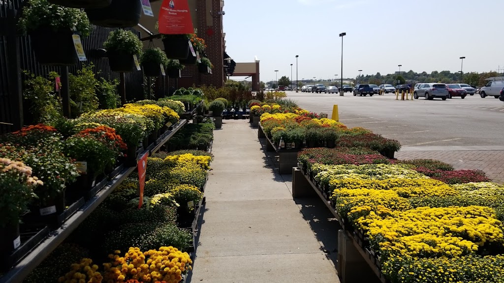 Lowes Garden Center | 8707 S 71st Plaza, Papillion, NE 68133, USA | Phone: (402) 516-0968