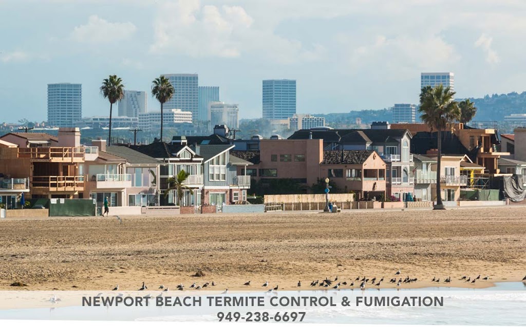 Newport Beach Termite Control & Fumigation | 224 Marine Ave, Newport Beach, CA 92662, USA | Phone: (949) 238-6697