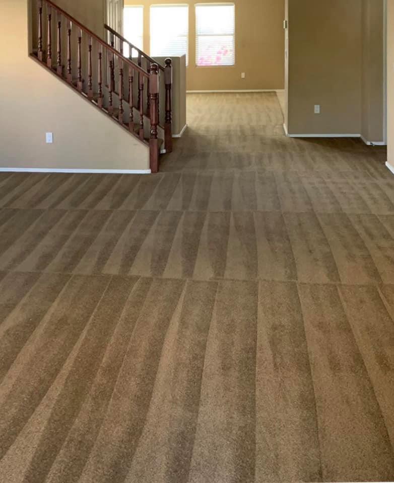 Citrus Bright Carpet Cleaning | 3714 E Barbarita Ave, Gilbert, AZ 85234, USA | Phone: (480) 689-3509