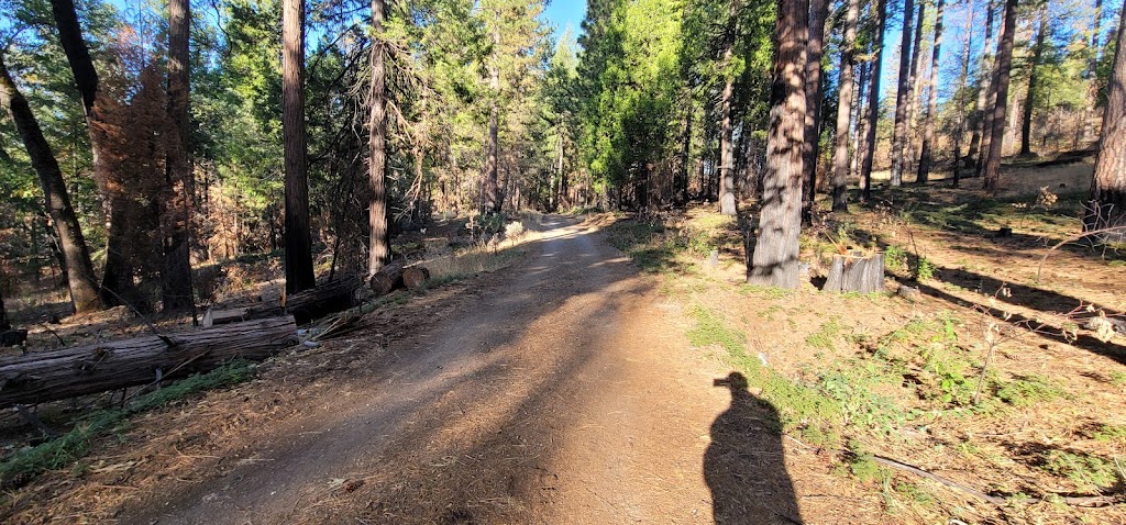 Fleming Trail System & Trailhead | Pollock Pines, CA 95726, USA | Phone: (530) 622-5061