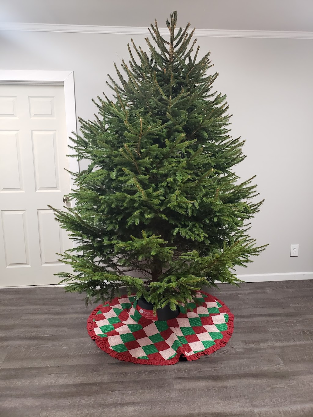 Buttenschon Christmas Tree Farm | 9663 Luke Rd, Marcy, NY 13403, USA | Phone: (315) 865-4849