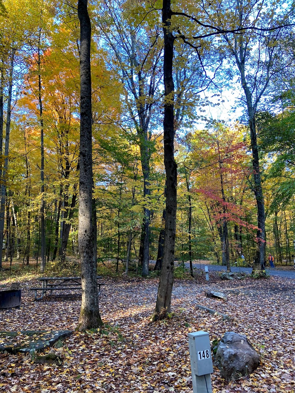 Ohiopyle State Park Kentuck Campground | 400 Kentuck Rd, Dunbar, PA 15431, USA | Phone: (724) 329-8592