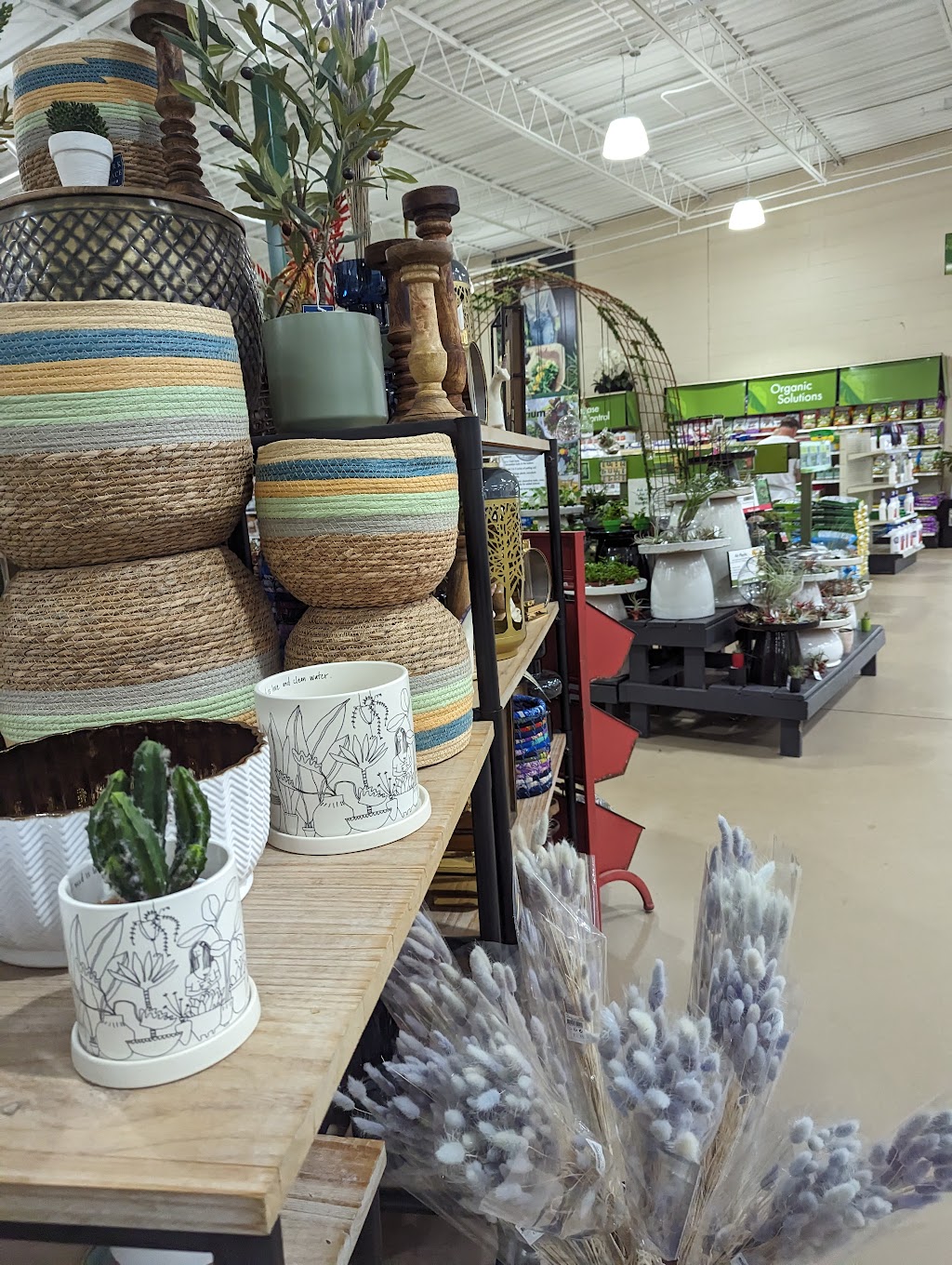 Pike Nurseries | 103 Joel Cowan Pkwy, GA-74, Peachtree City, GA 30269, USA | Phone: (770) 632-9111