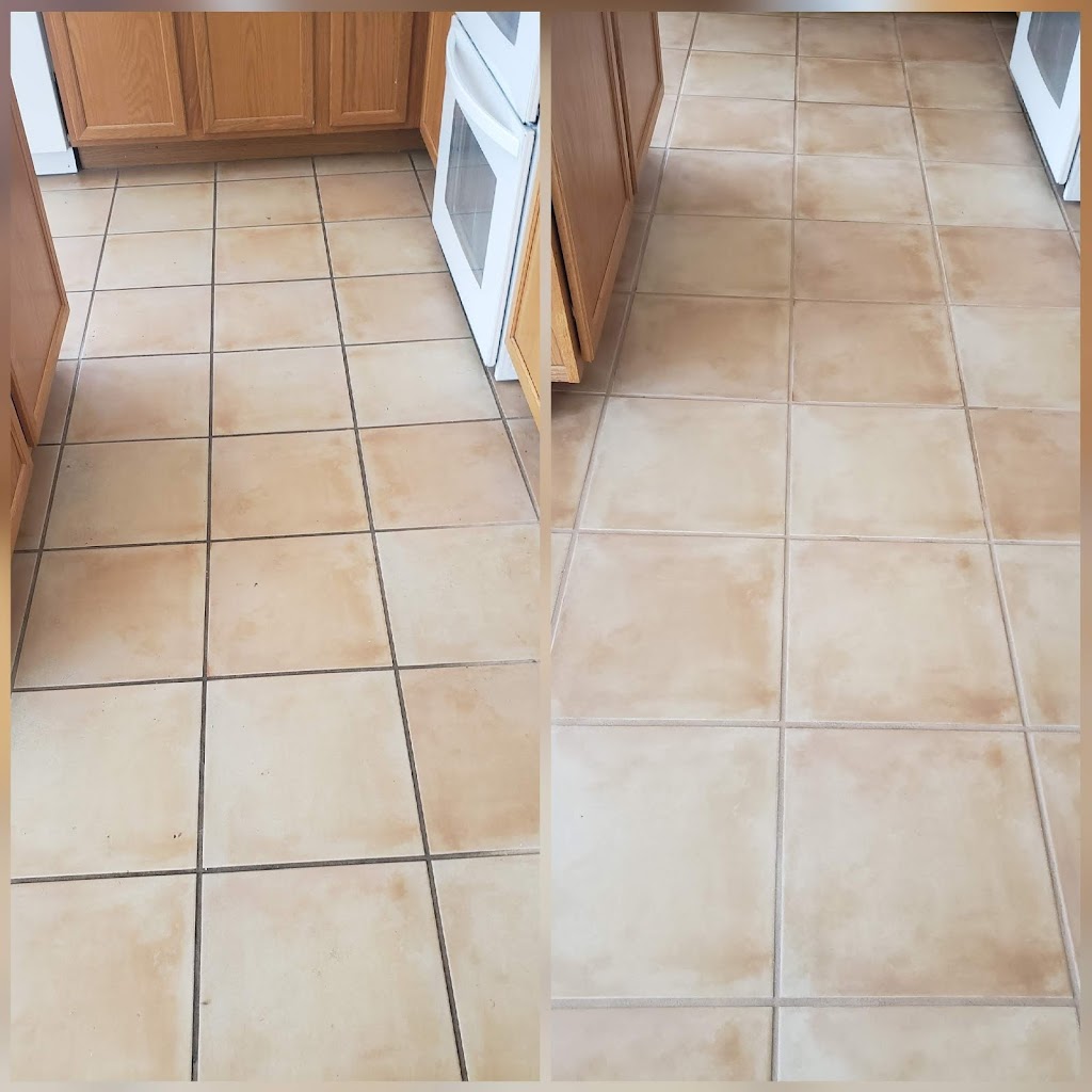 Pro Clean Specialists LLC Carpet and Tile cleaning | 5539 E Farmdale Ave, Mesa, AZ 85206, USA | Phone: (480) 241-7513