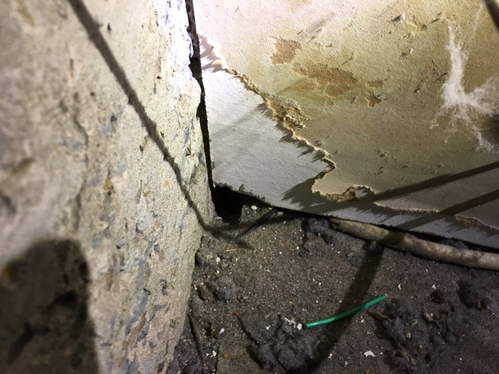 Do IT RIGHT RODENT Proofing | 27 Westline Dr #4736, Daly City, CA 94015, USA | Phone: (650) 745-5813