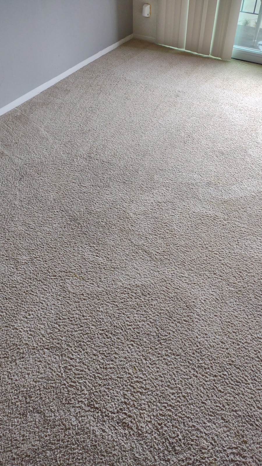 Centurion Carpet Cleaning | 1989 Tobsal Ct, Warren, MI 48091, USA | Phone: (800) 722-8855