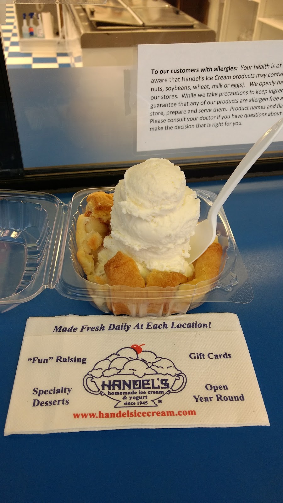 Handels Homemade Ice Cream | 3433 Massillon Rd, Akron, OH 44312, USA | Phone: (330) 896-5655