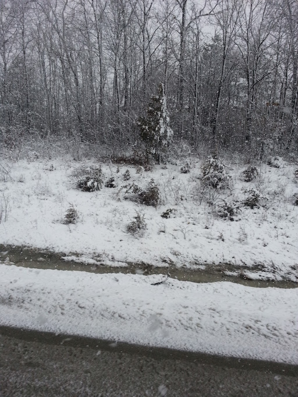 Arbor Hills Nature Area | 3528 Burbank Dr, Ann Arbor, MI 48105, USA | Phone: (734) 794-6000