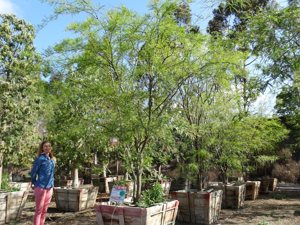 Moon Valley Nurseries | 17715 Amie Ave, Torrance, CA 90504, USA | Phone: (310) 747-3899
