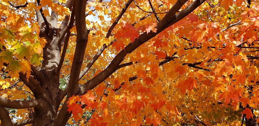 Hillside Village Hall | 425 N Hillside Ave, Hillside, IL 60162, USA | Phone: (708) 449-6450