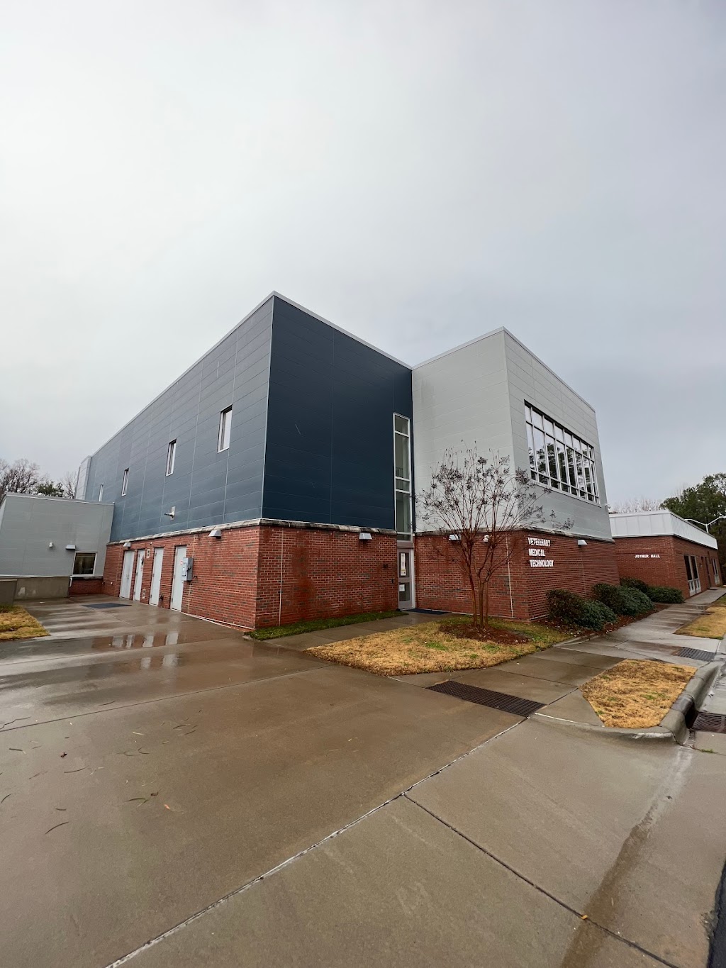 Cougar Pets Rescue | 1105 Kelly Dr, Sanford, NC 27330, USA | Phone: (919) 718-7287