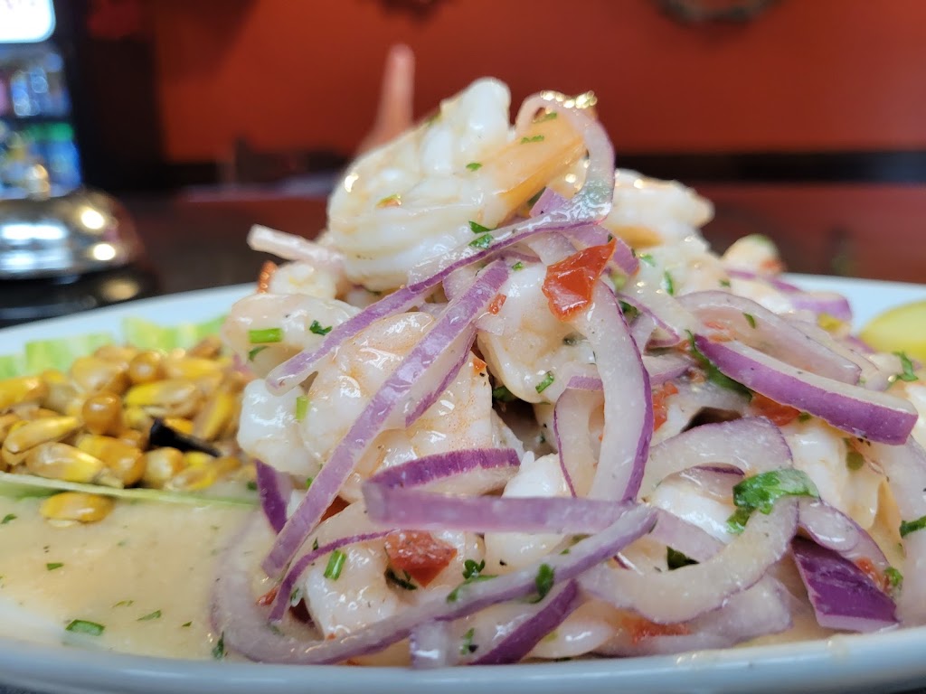 Salsa Latina | 315 Central Ave, Albany, NY 12206, USA | Phone: (518) 426-7050