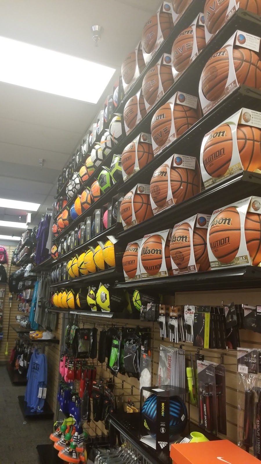 Hibbett Sports | 755 S Orange Blossom Trail, Apopka, FL 32703, USA | Phone: (407) 814-9483