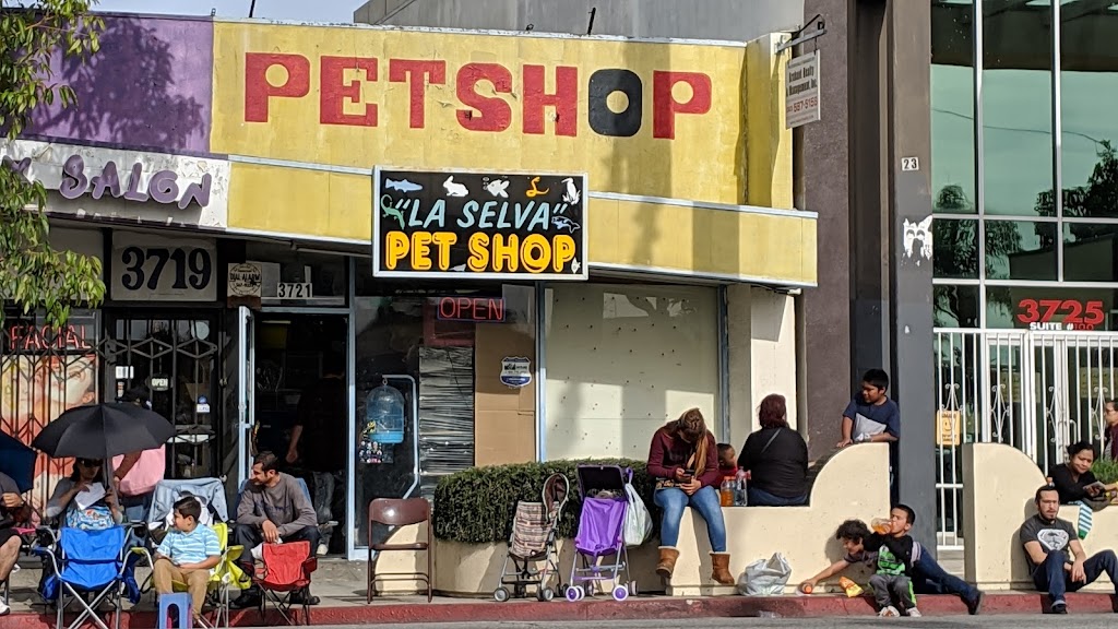 La Selva Pet Shop | 3721 Tweedy Blvd, South Gate, CA 90280, USA | Phone: (323) 245-2354