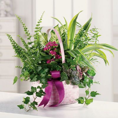 Johnnys Florist | 2 Tuckahoe Rd, Yonkers, NY 10710 | Phone: (914) 963-1009