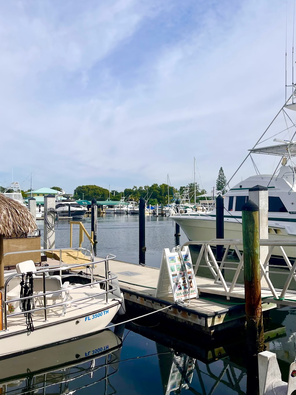 Key Largo Fisheries Backyard Cafe | 1313 Ocean Bay Dr Suite A, Key Largo, FL 33037, USA | Phone: (305) 451-3784