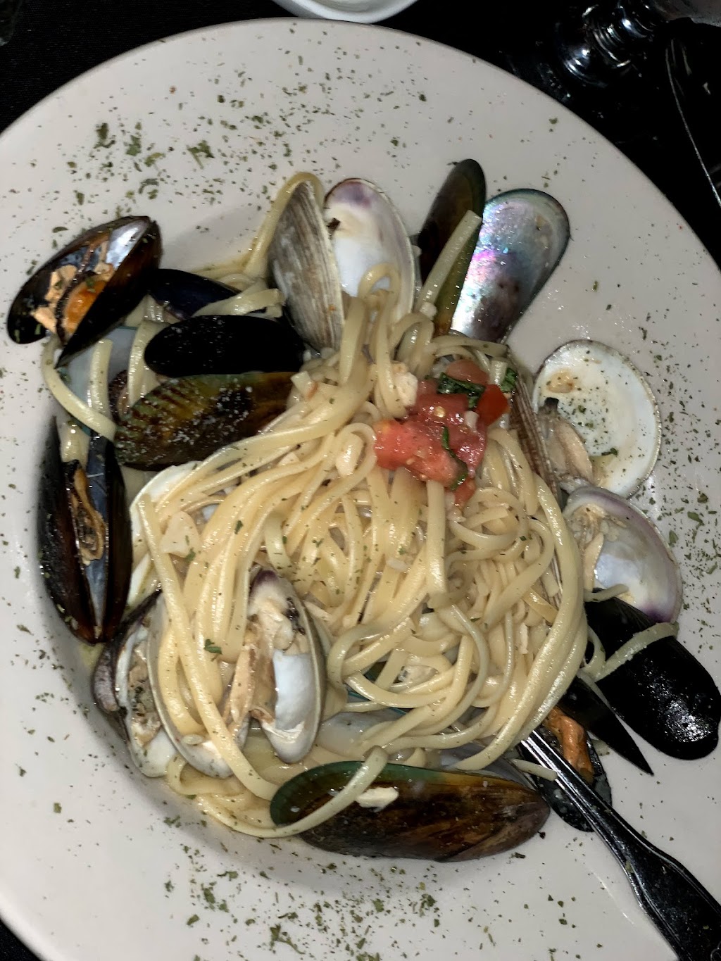 Vino E Pasta | 3603 W Gandy Blvd, Tampa, FL 33611, USA | Phone: (813) 454-8943