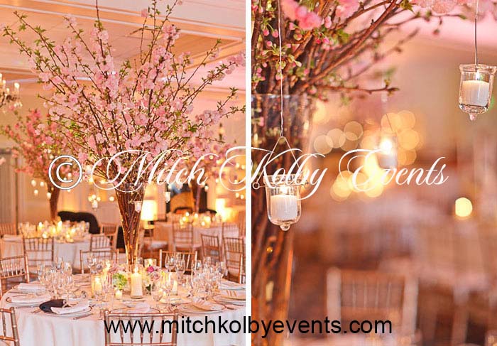 Mitch Kolby Events | 253 Thayer St, River Vale, NJ 07675, USA | Phone: (201) 281-0458