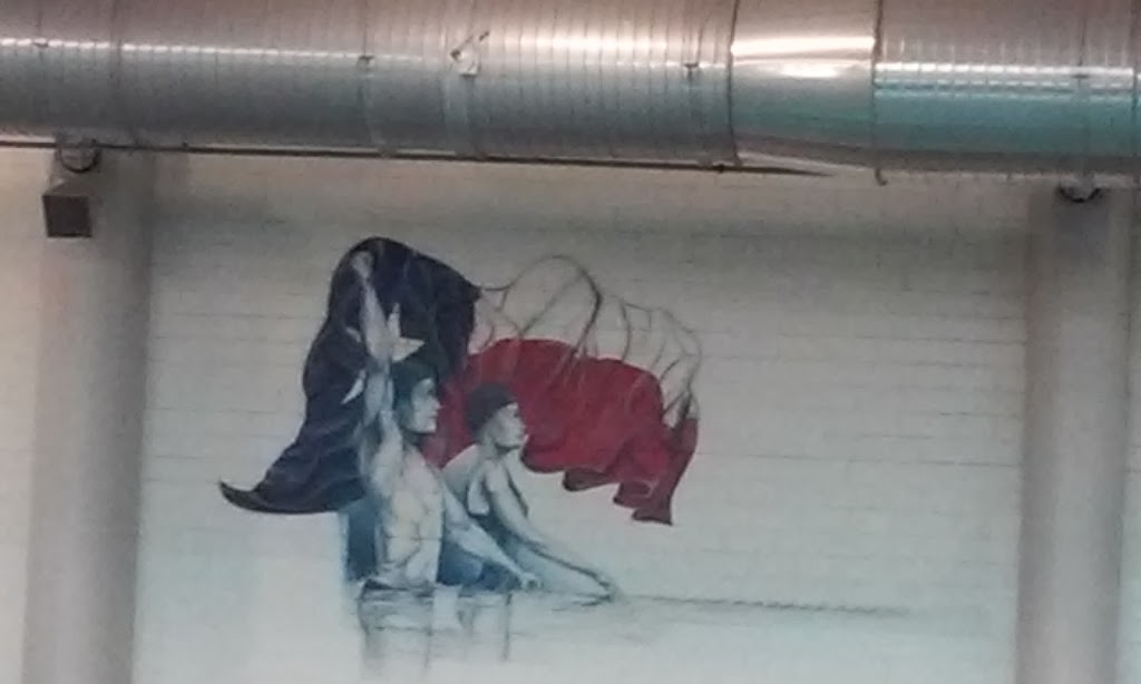 Frisco ISD Bruce Eubanks Natatorium | 7411 First St, Frisco, TX 75034, USA | Phone: (469) 633-6160