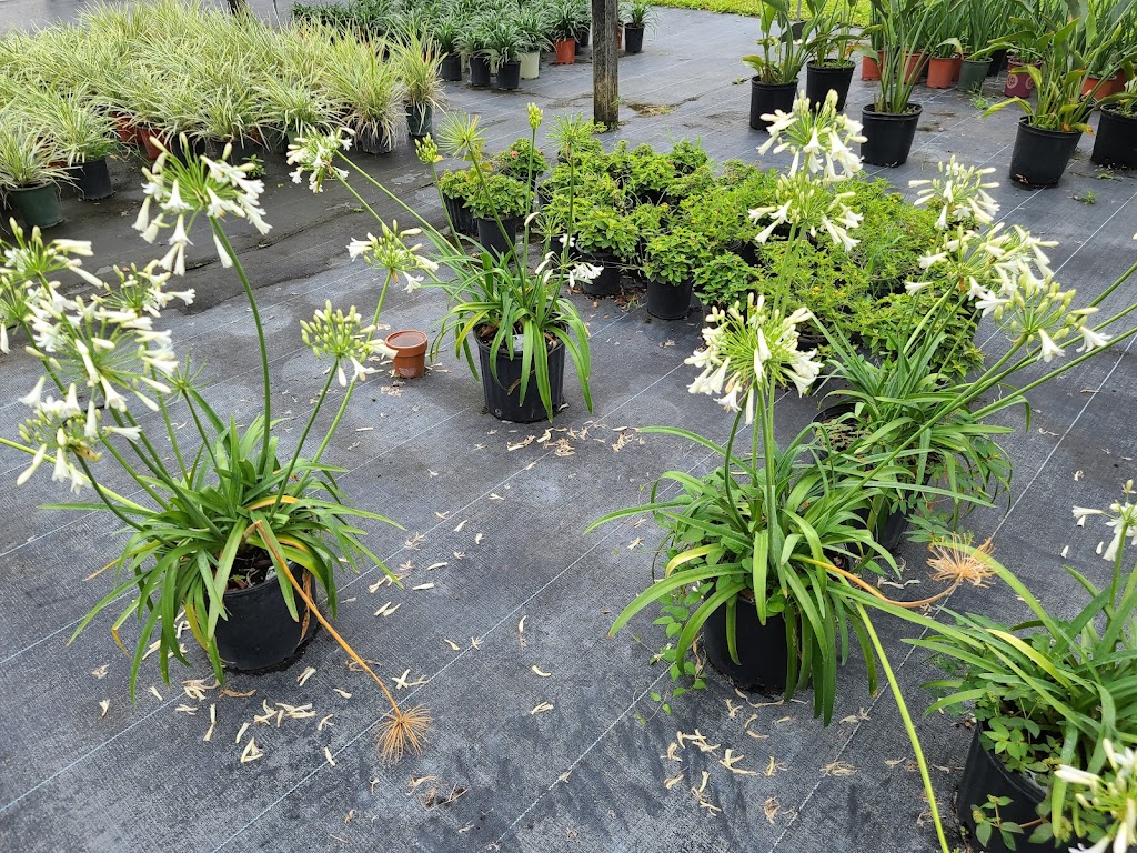 Nursery Landscape & Garden Center | 5955 Florida Ave S, Lakeland, FL 33813, USA | Phone: (863) 644-7331