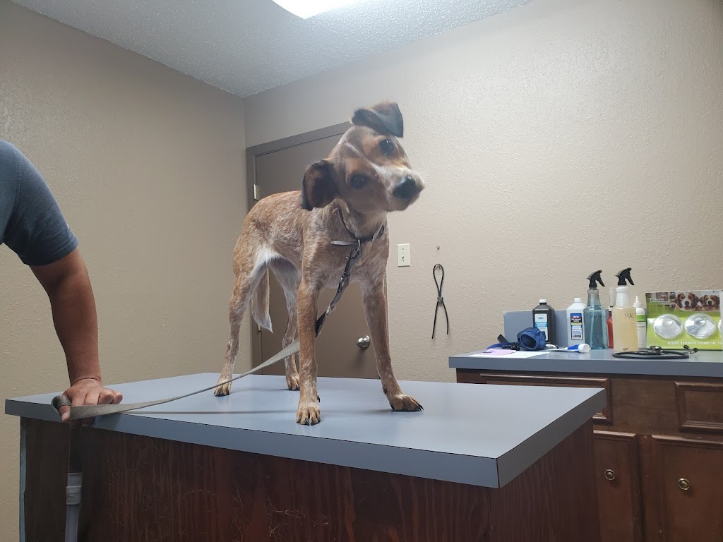 Sinton Veterinary Clinic | 14127 US-181, Sinton, TX 78387, USA | Phone: (361) 364-4551