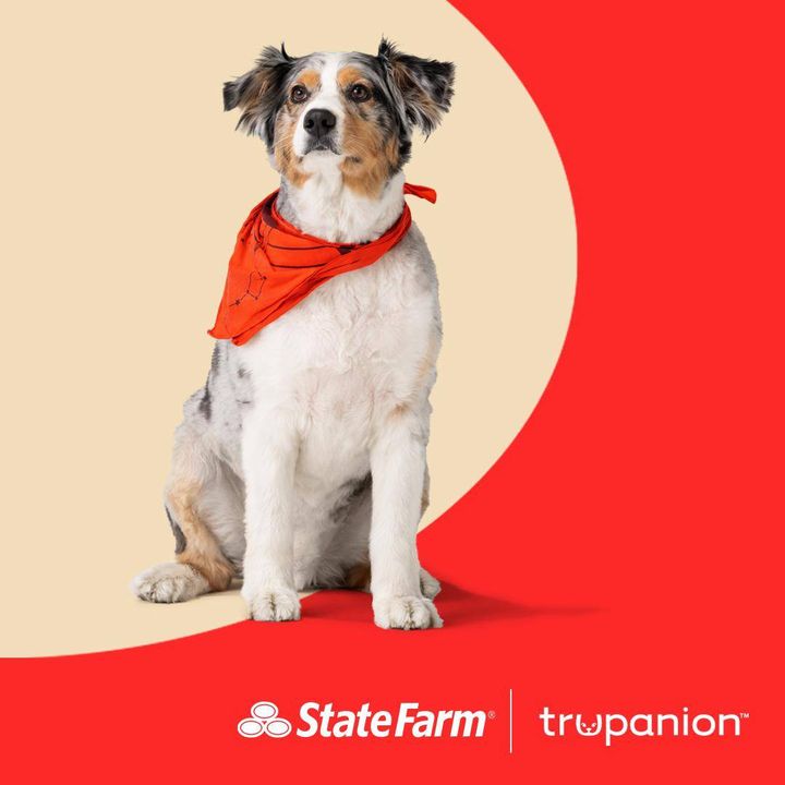 Diane Ronnebaum - State Farm Insurance Agent | 12598 Central Ave Ste 207, Chino, CA 91710, USA | Phone: (909) 464-2906