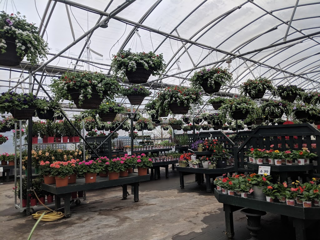 Scheiderer Farms Greenhouse | 13436 OH-38, Marysville, OH 43040 | Phone: (937) 642-2093