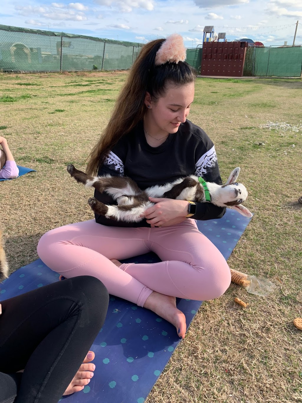 Goat Yoga PHX | 2209 N 99th Ave, Phoenix, AZ 85037, USA | Phone: (623) 628-6866