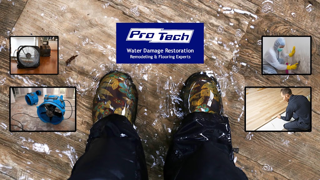 Pro Tech Restoration Services | 301 E Buckingham Rd Suite 2, Garland, TX 75040, USA | Phone: (972) 530-7184