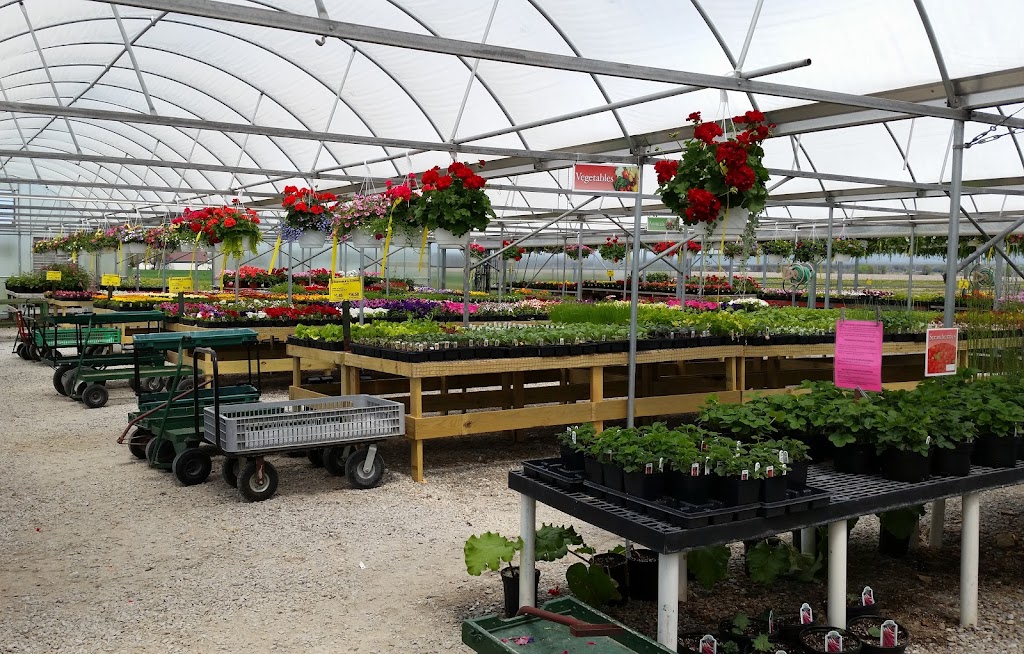 Russells Flowers, Garden Center & Gifts | 9910 OH-269, Bellevue, OH 44811, USA | Phone: (419) 483-5957