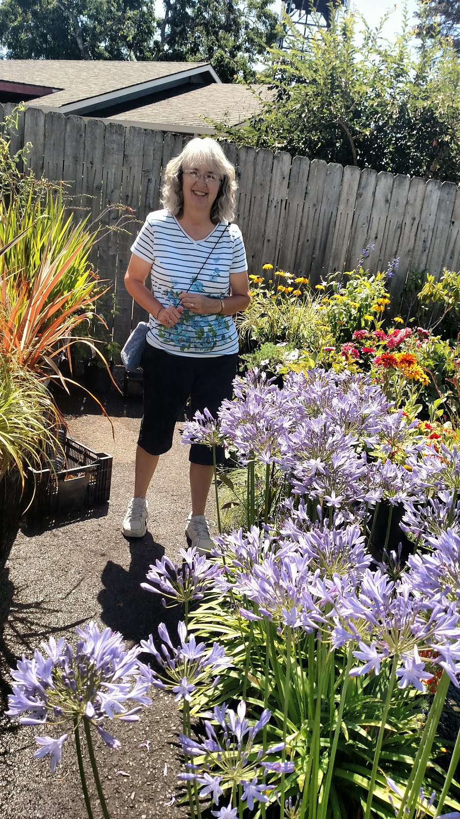 French Prairie Perennials | 14936 3rd St NE, Aurora, OR 97002, USA | Phone: (503) 679-2871