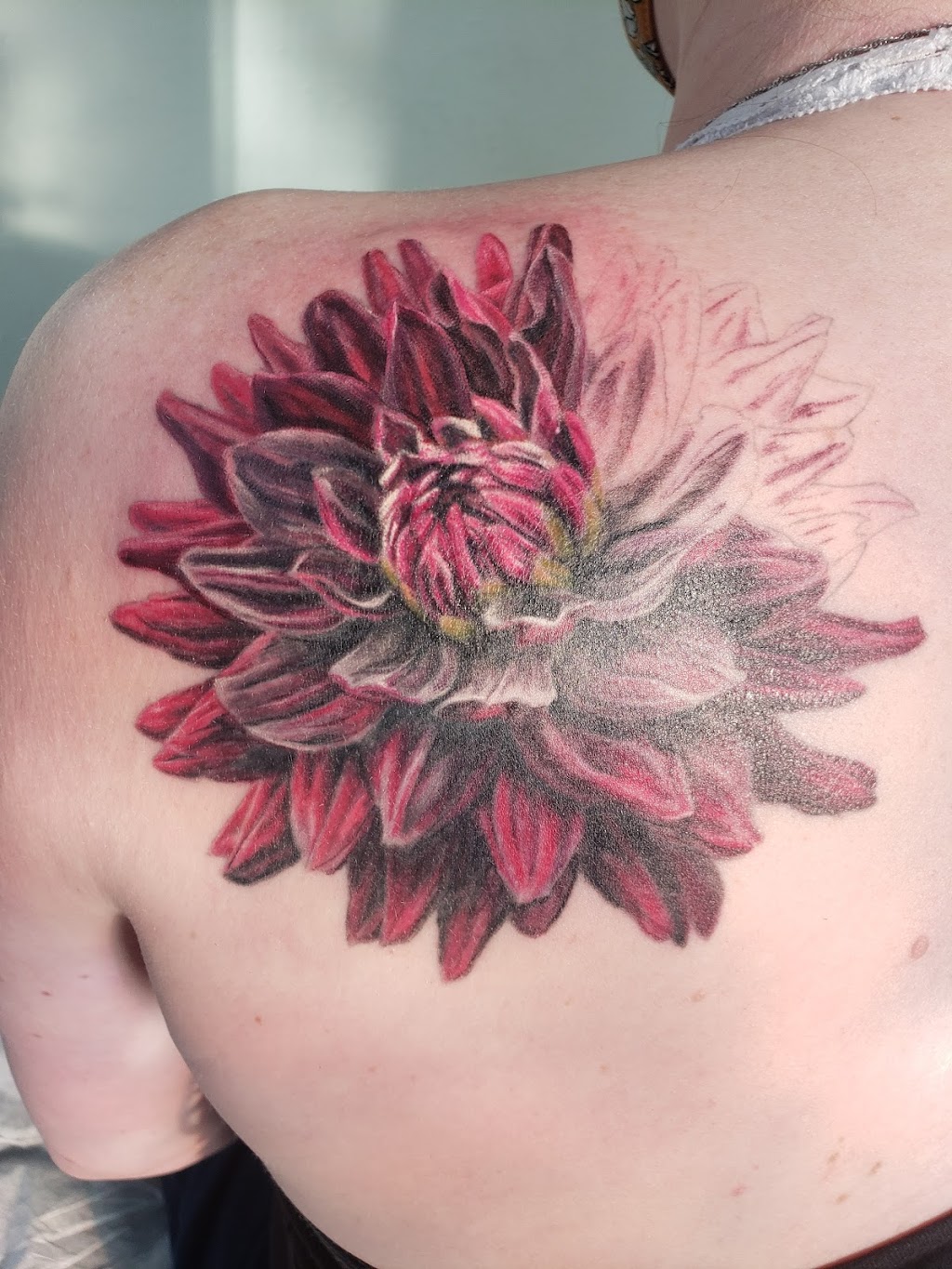 Aardvark Tattoo Company | 14804 SE Powell Blvd, Portland, OR 97236, USA | Phone: (503) 477-8902