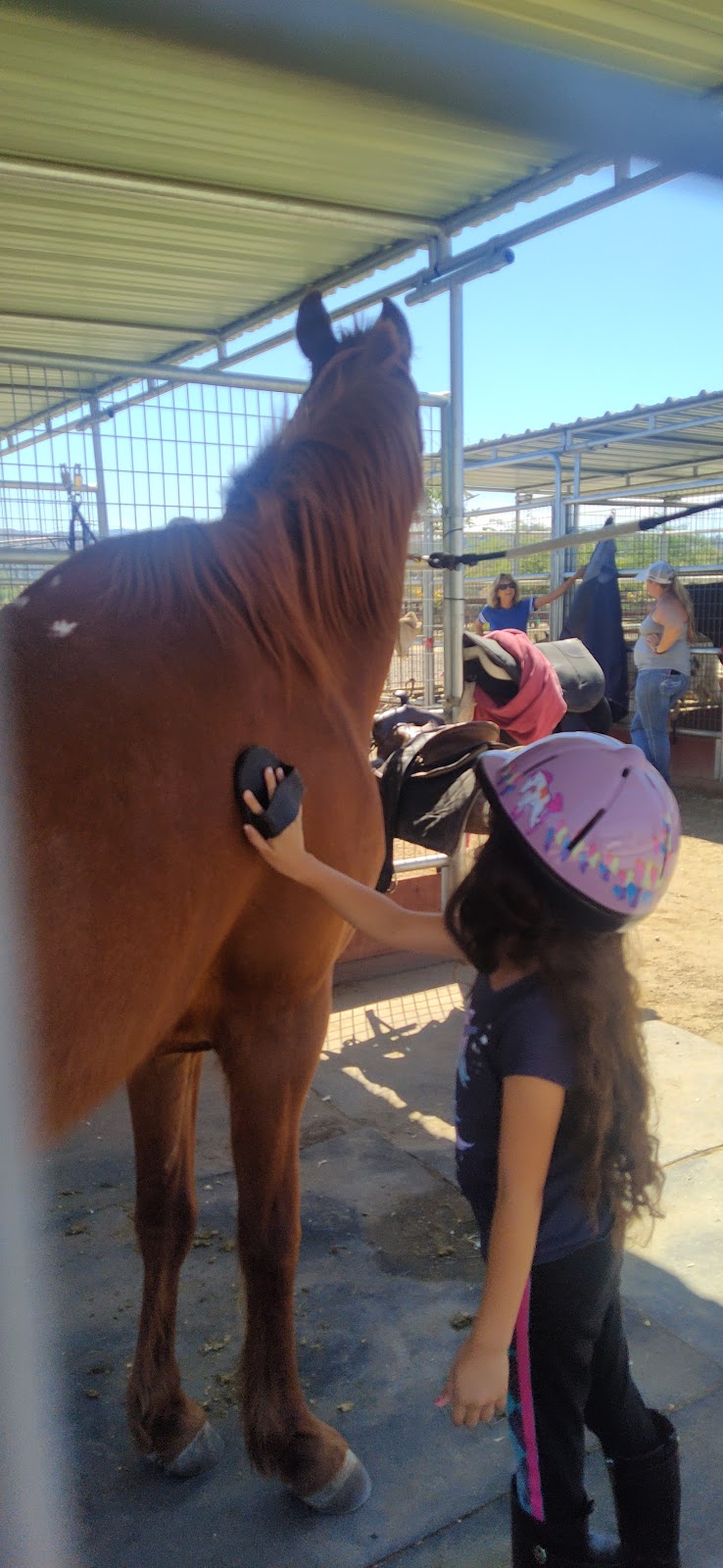 Stokes Equestrian | 40095 Green Meadow Rd, Temecula, CA 92592, USA | Phone: (949) 510-2848