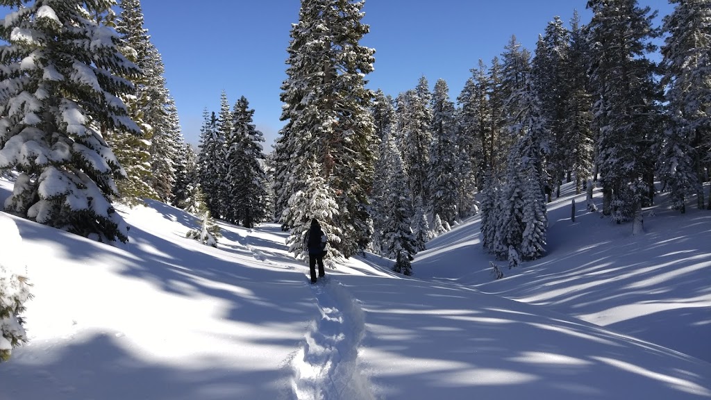 Bradley Hut | Truckee, CA 96161, USA | Phone: (530) 426-3632