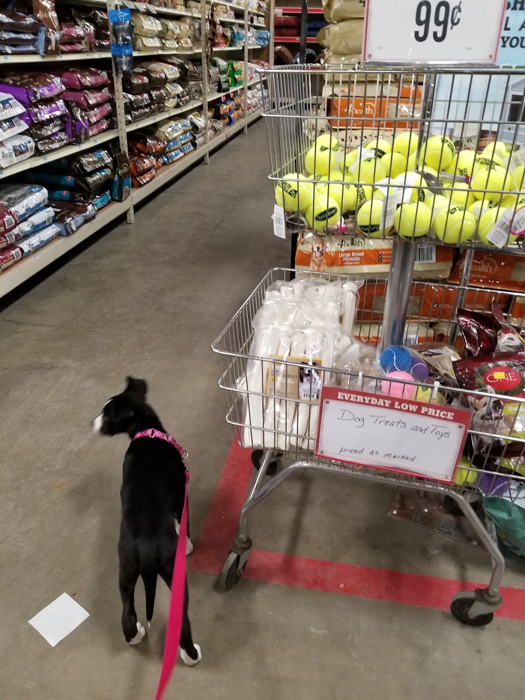 Tractor Supply Co. | 16497 Tecumseh St, Dundee, MI 48131, USA | Phone: (734) 529-5535