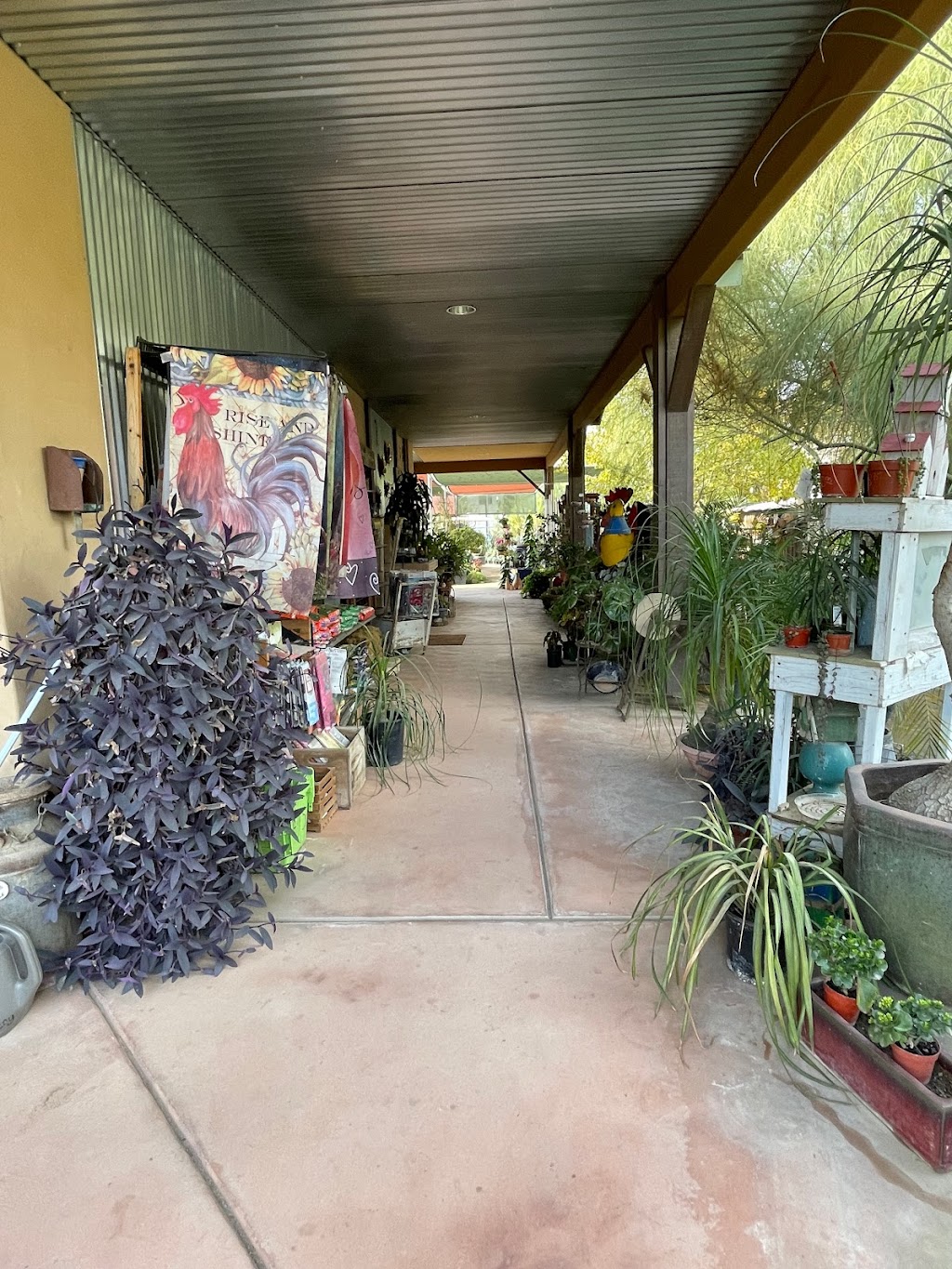 Robbys Nursery & Calico Gardens | 4002 Terracotta Ct, Bakersfield, CA 93314, USA | Phone: (661) 588-0859