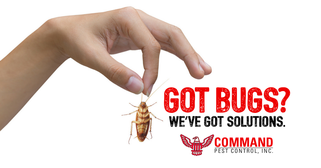 Command Pest Control | 2195 N Andrews Ave #11, Pompano Beach, FL 33069 | Phone: (954) 943-0008