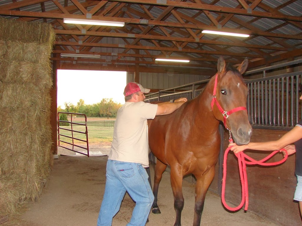 Postrach Family & Equine Chiropractic | 118 S 5th St, Collinsville, OK 74021, USA | Phone: (918) 637-9687