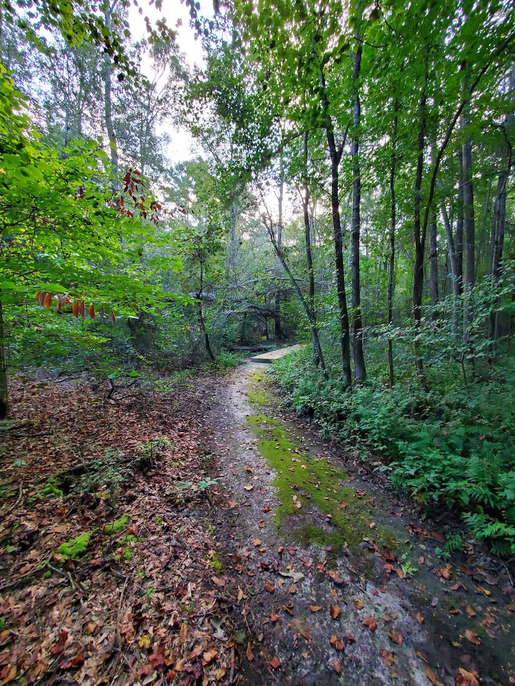 Morgan Grove Nature Area | 181 Morgan Rd, Fayetteville, GA 30215, USA | Phone: (770) 486-7774