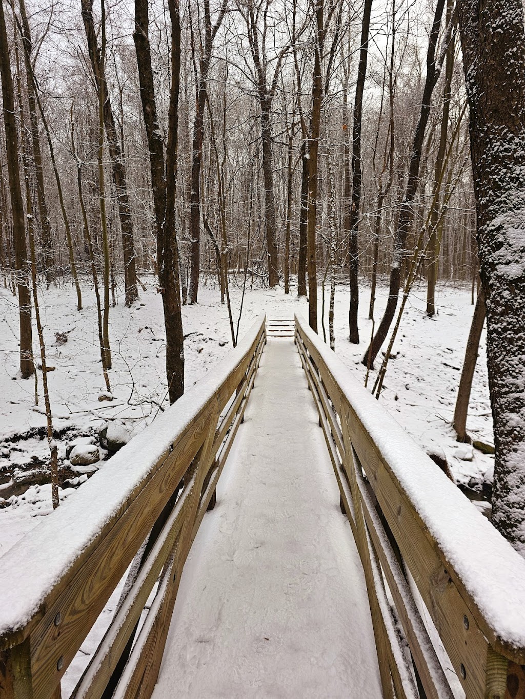 The West Woods | 9465 Kinsman Rd, Novelty, OH 44072, USA | Phone: (440) 286-9516