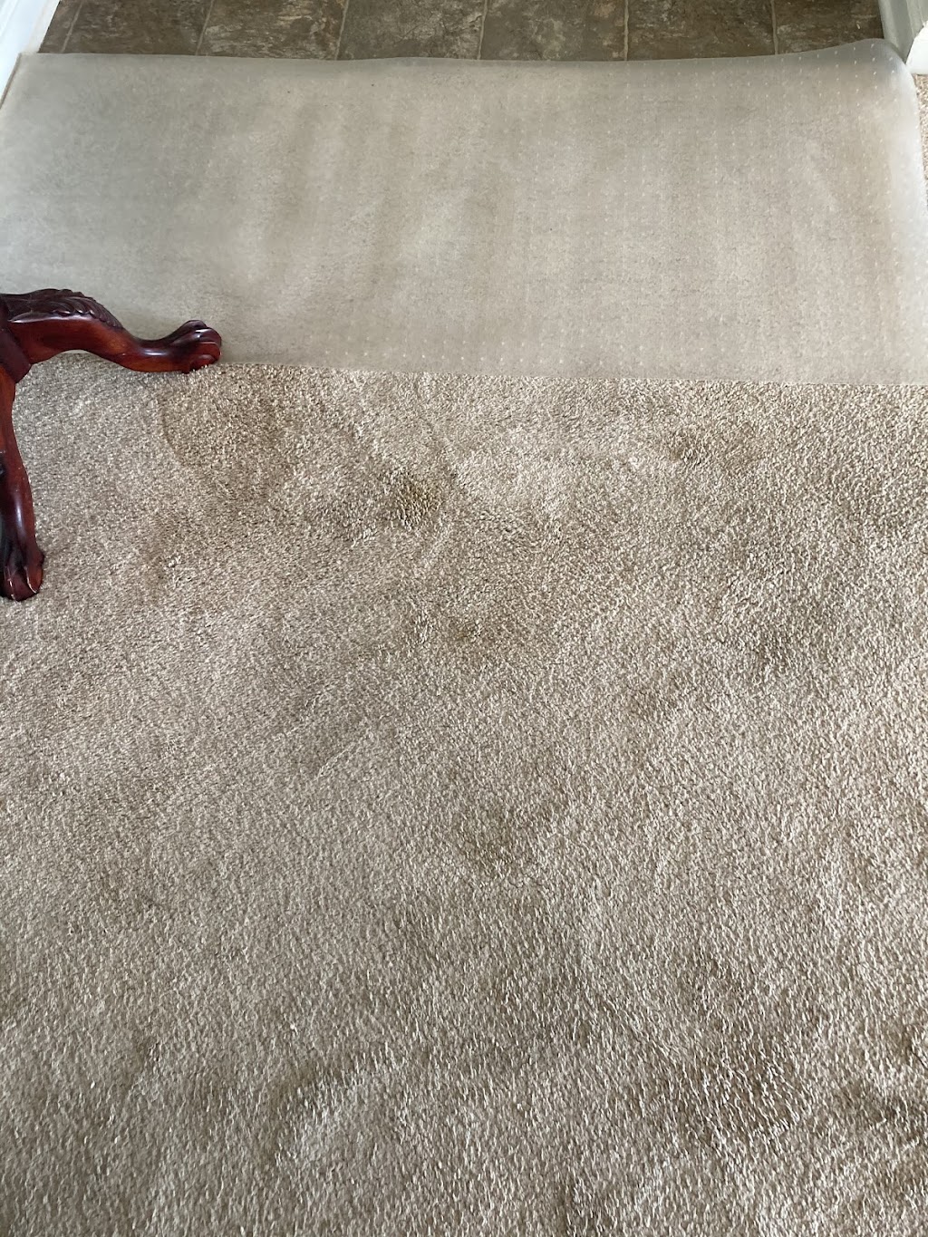 Coastal Clean - Carpet, Upholstery, & Tile Cleaning | 1001 Carissa Ct, Virginia Beach, VA 23451, USA | Phone: (757) 630-9300