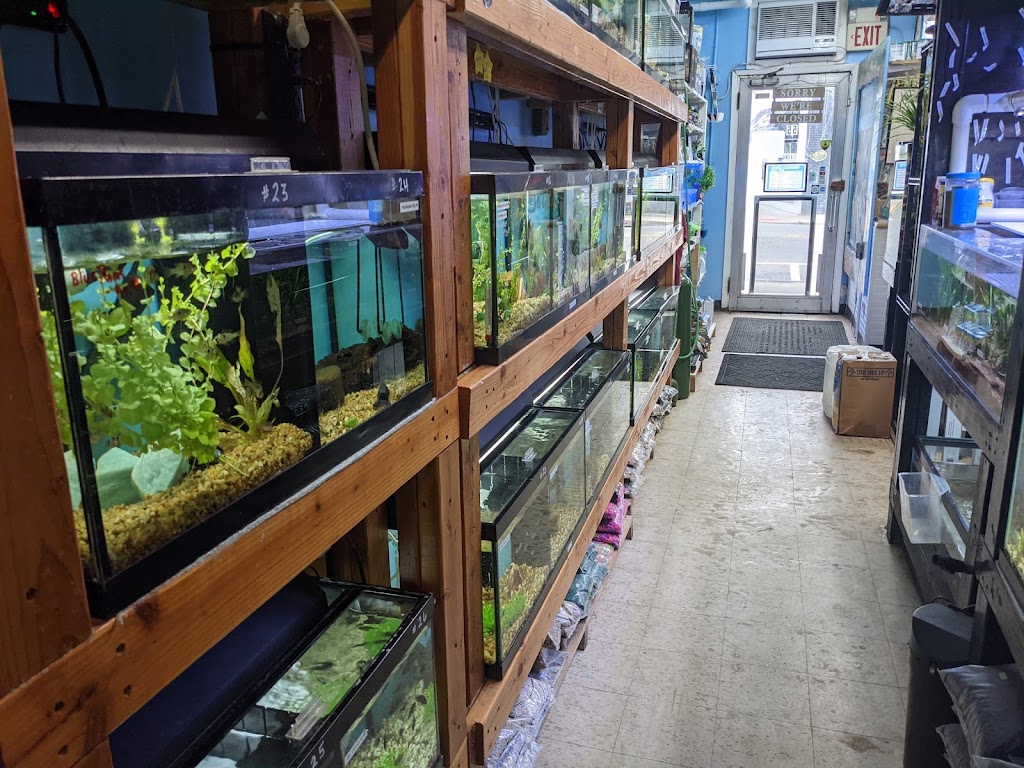 Aquariums By JJ | 55 Main St, Bloomingdale, NJ 07403, USA | Phone: (862) 666-9022