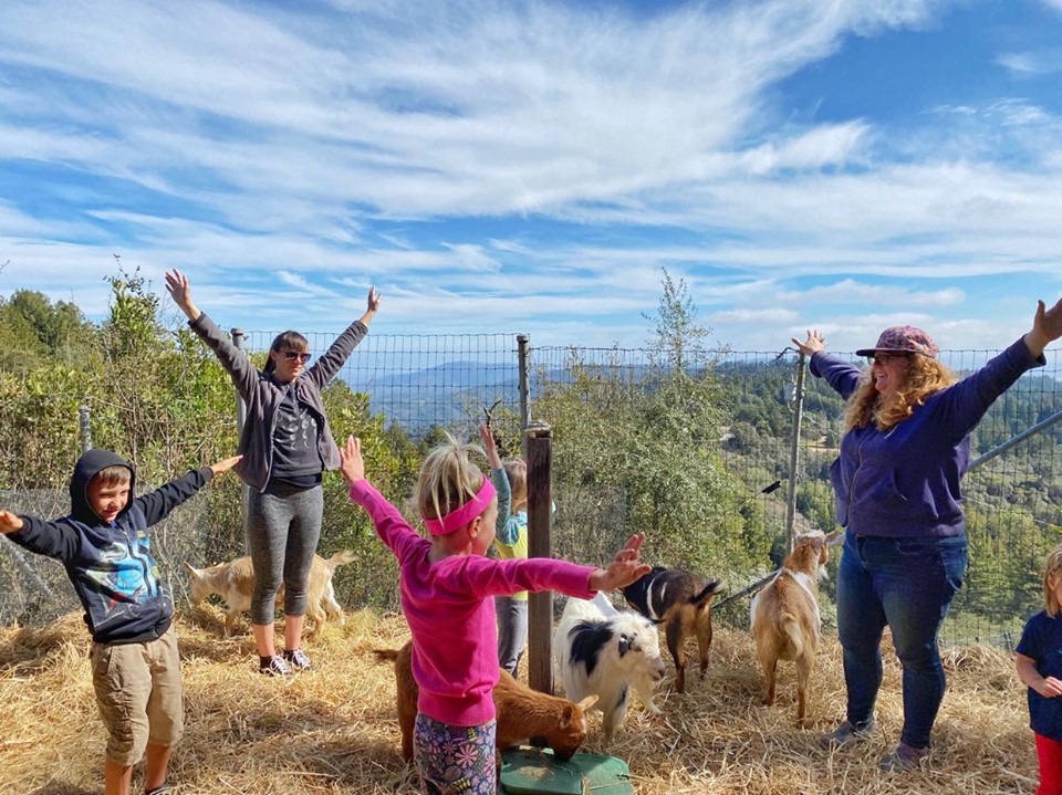 Original Goat Yoga- SF BAY CA | 880 Summit Rd, Watsonville, CA 95076 | Phone: (888) 992-4628