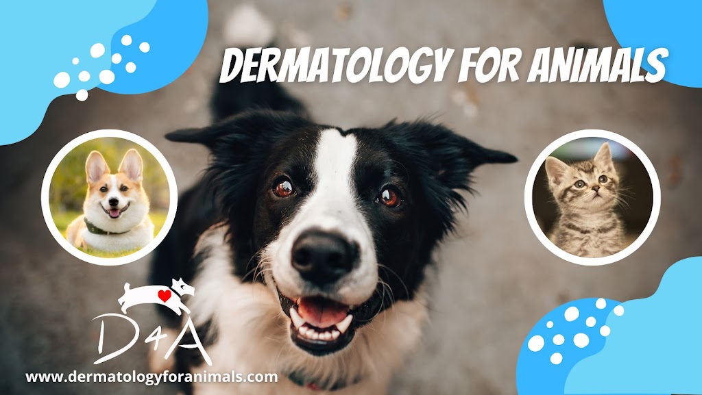 Dermatology for Animals - Scottsdale | 7908 E Chaparral Rd Suite 105, Scottsdale, AZ 85250, USA | Phone: (480) 443-0679