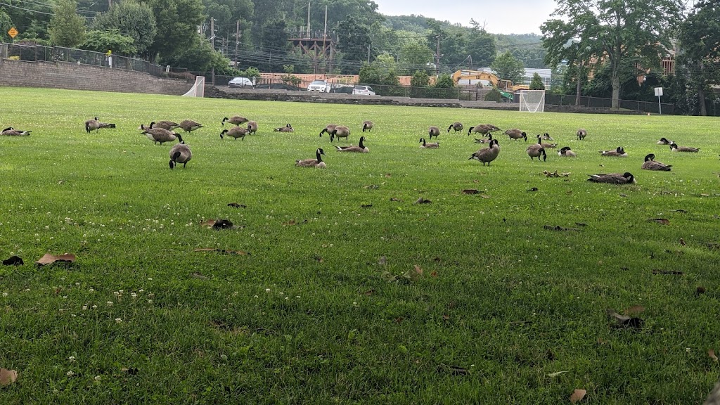 Stagg Field Playground | 385 St Cloud Ave, West Orange, NJ 07052, USA | Phone: (973) 325-4086