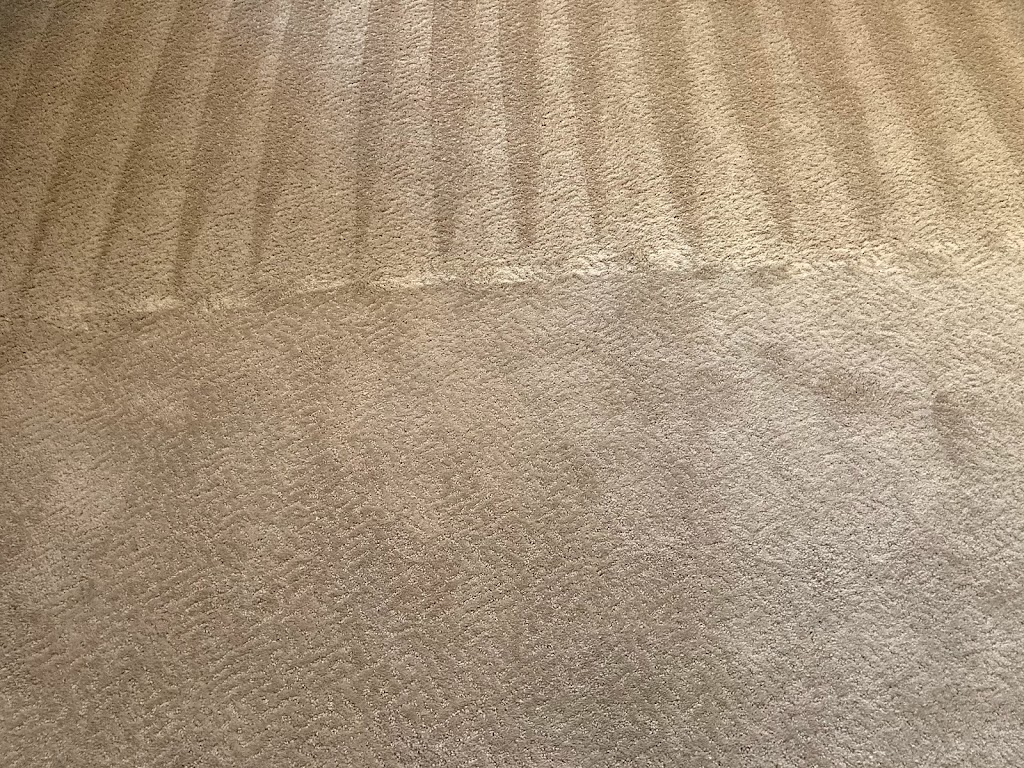 Renewed Carpet Care | 5 Vía Caballo, Rancho Santa Margarita, CA 92688, USA | Phone: (949) 434-1151