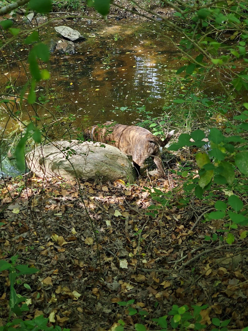 Falcon Trail Trailhead | Richfield Park Rd, Richfield, NC 28137, USA | Phone: (704) 699-5515