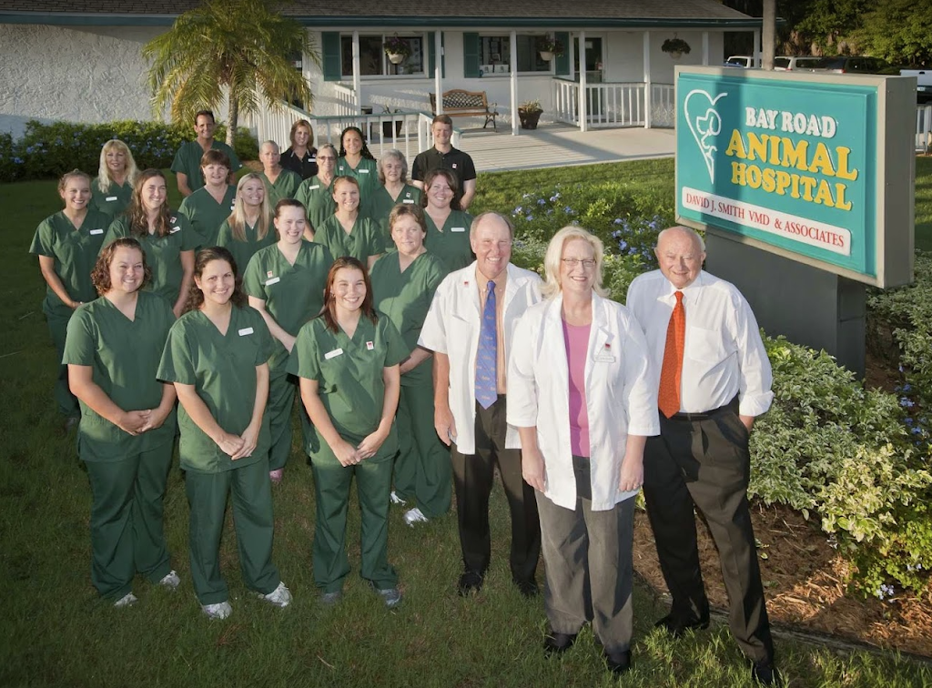 Bay Road Animal Hospital | 1712 Bay Rd, Sarasota, FL 34239, USA | Phone: (941) 366-2275