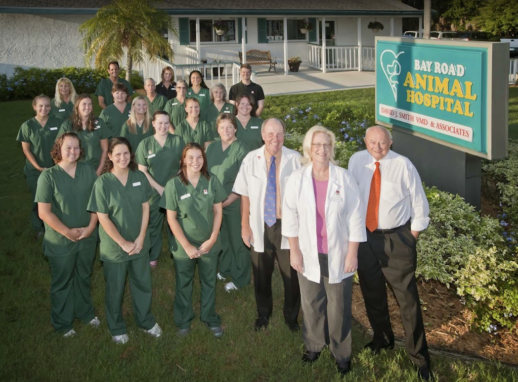 Bay Road Animal Hospital | 1712 Bay Rd, Sarasota, FL 34239 | Phone: (941) 366-2275