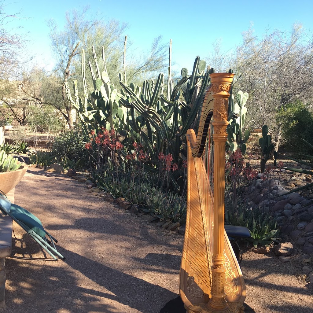 Phoenix Harpist Adrienne Knauer | 11515 N 91st St, Scottsdale, AZ 85260, USA | Phone: (914) 299-9962